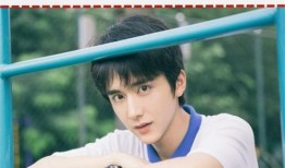 张新成最新爆料完整视频,精彩瞬间大盘点